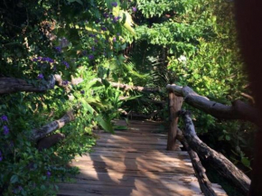 Tree Top Eco-Lodge